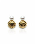 Large Seashell Pearl Studs